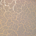 tile1