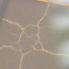 tile2